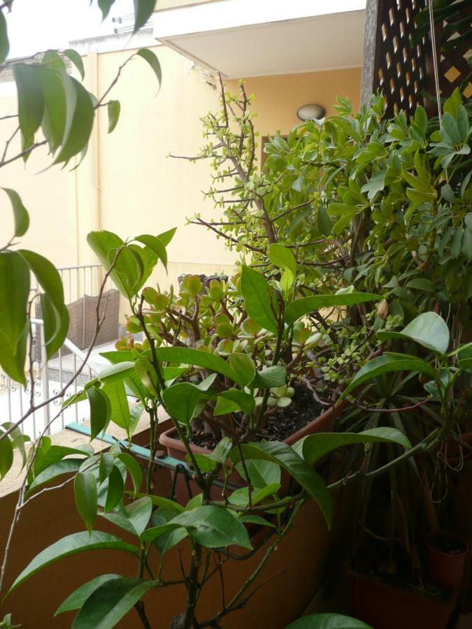 B&B La Casetta Quartu SantʼElena Екстериор снимка